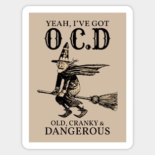 Vintage Cranky Witch Sticker